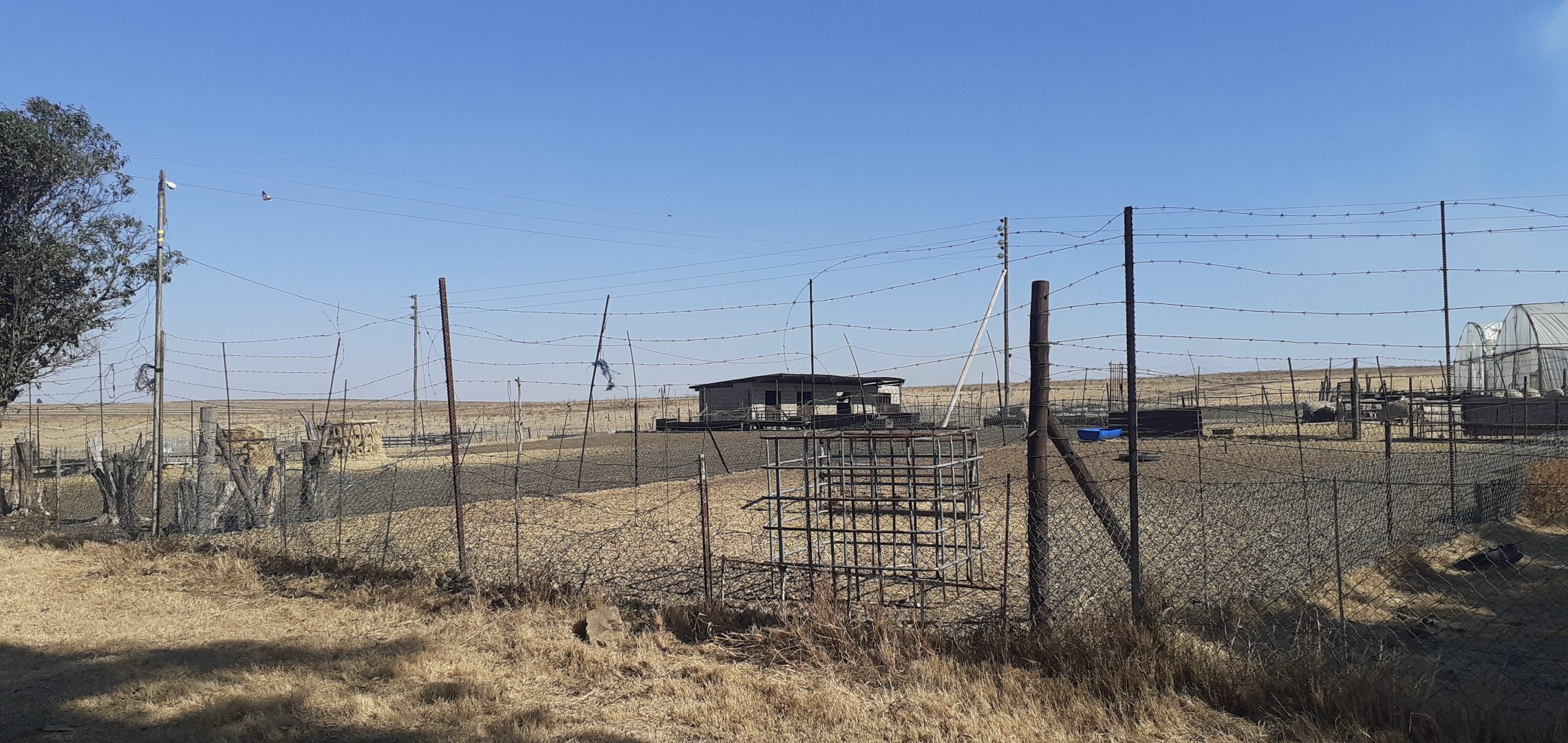 Farm in Kinross For Sale RE/MAX™ of Southern Africa