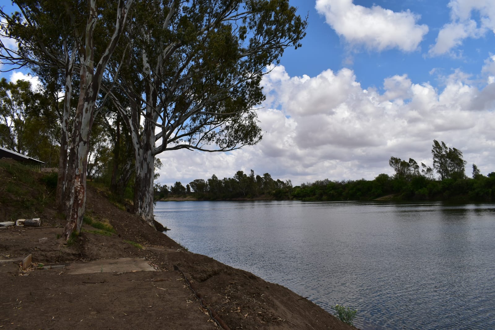 Farm in Bothaville For Sale RE/MAX™ of Southern Africa