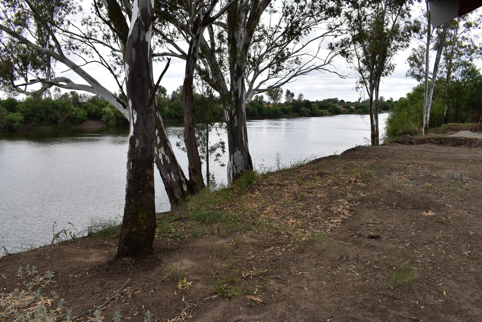 Farm in Bothaville For Sale RE/MAX™ of Southern Africa