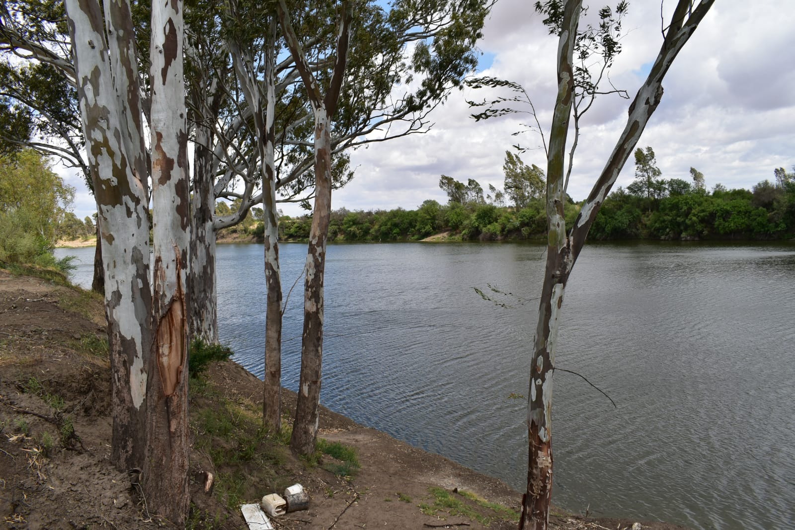 Farm in Bothaville For Sale RE/MAX™ of Southern Africa