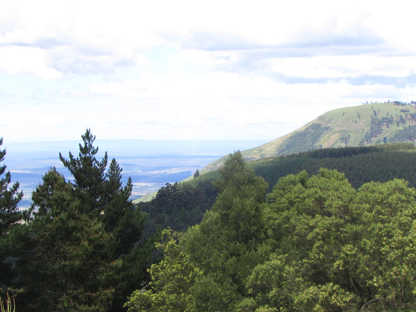 Property and houses for sale in Hogsback, Eastern Cape RE/MAX