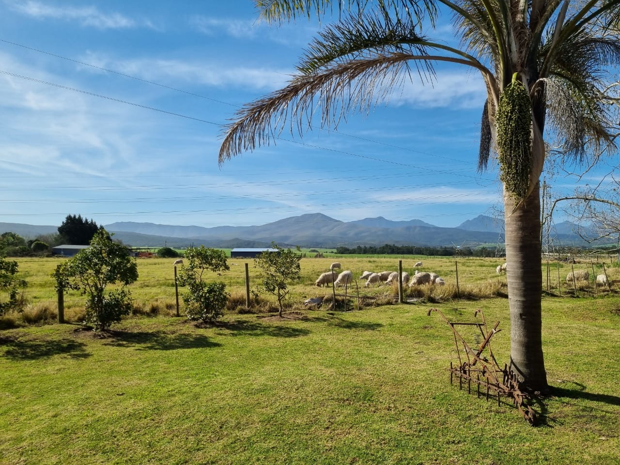 Farm in Sedgefield Rural For Sale RE/MAX™ of Southern Africa