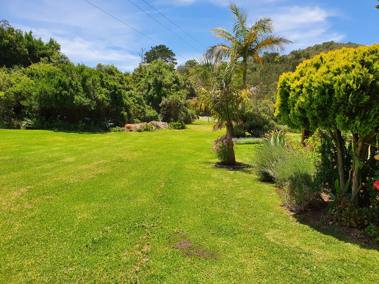 Farm in Keurboomstrand For Sale RE/MAX™ of Southern Africa