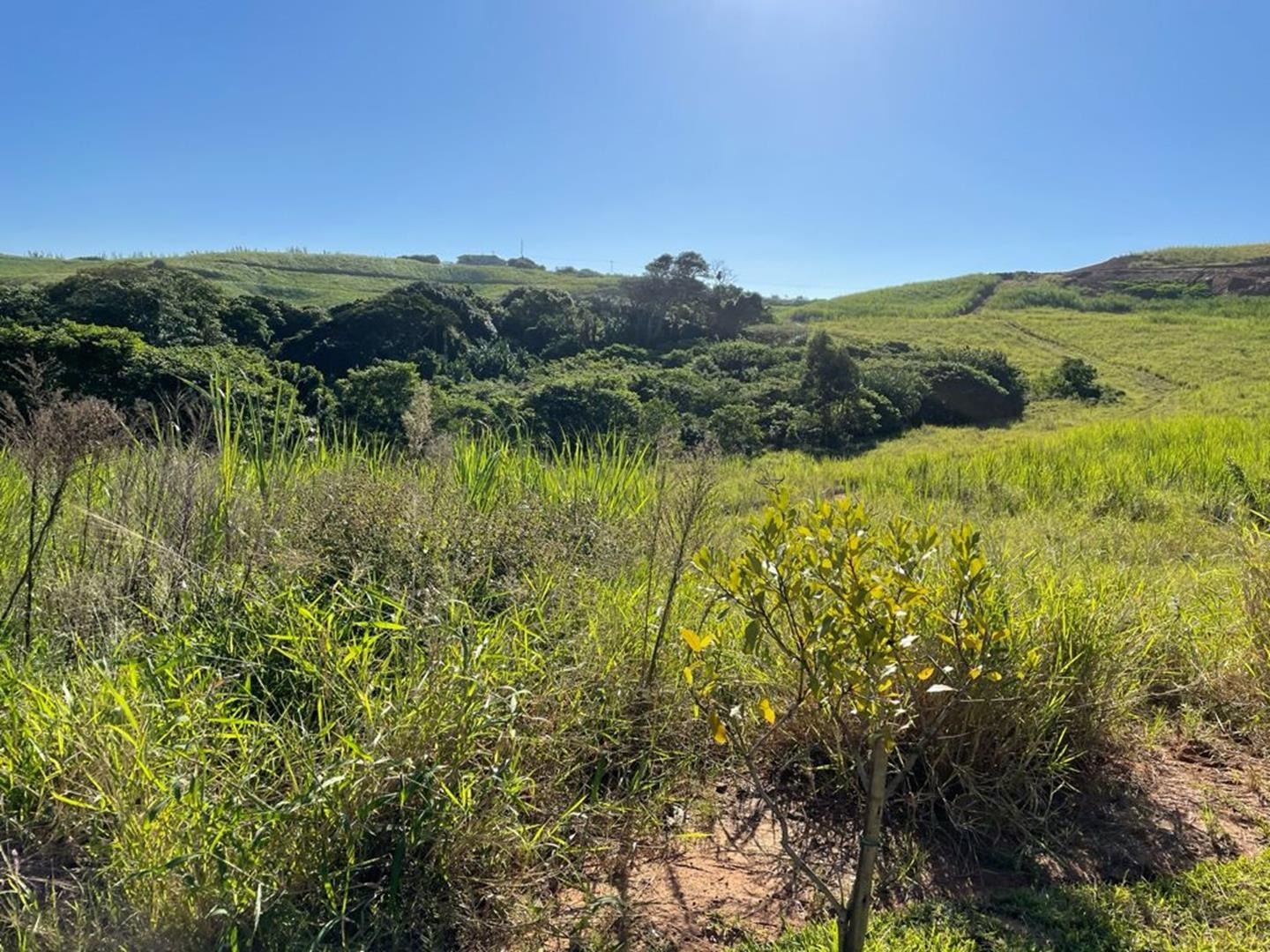 Vacant Land / Plot in Sheffield Beach For Sale RE/MAX™ of Southern Africa