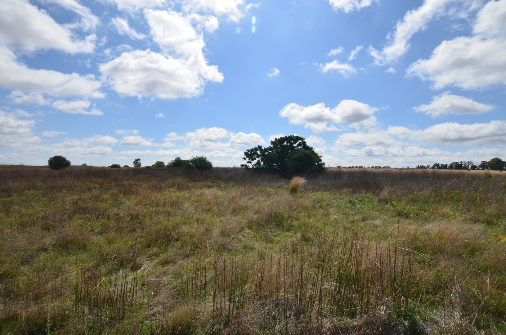 Vacant Land / Plot in Bainsvlei For Sale RE/MAX™ of Southern Africa