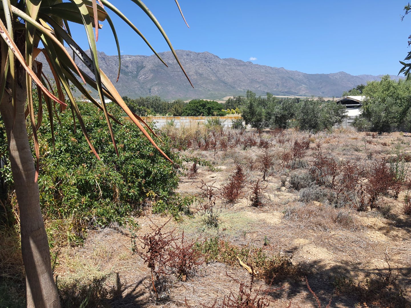 Property and houses for sale in Porterville, Western Cape RE/MAX