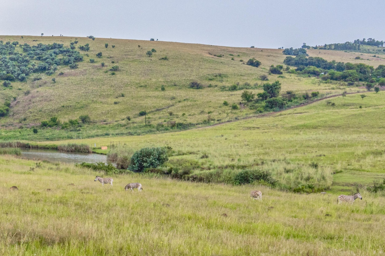 3 Bedroom House For Sale in Letamo Game Farm RE/MAX™ of Southern Africa