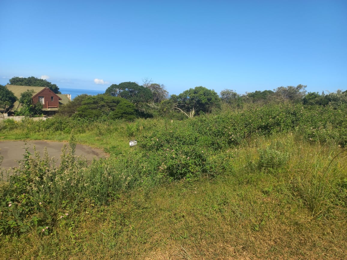 RE/MAX Border East London