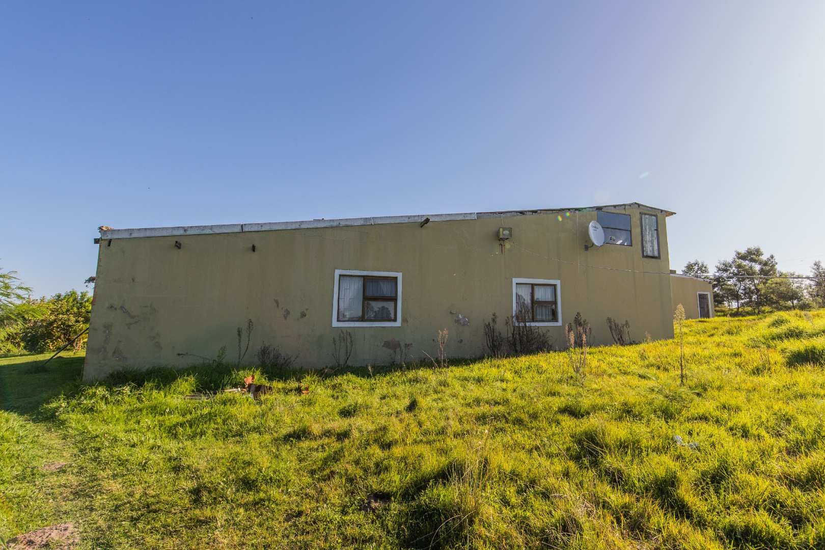 Farm in Greenbushes For Sale RE/MAX™ of Southern Africa