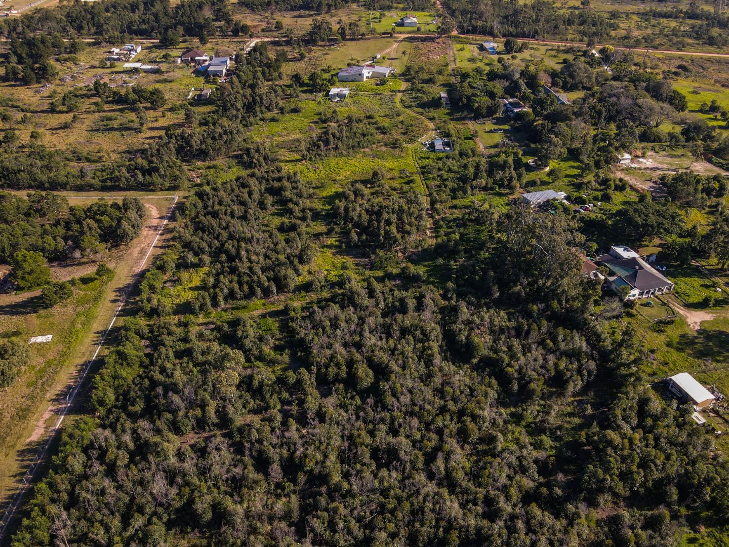 Farm in Greenbushes For Sale RE/MAX™ of Southern Africa