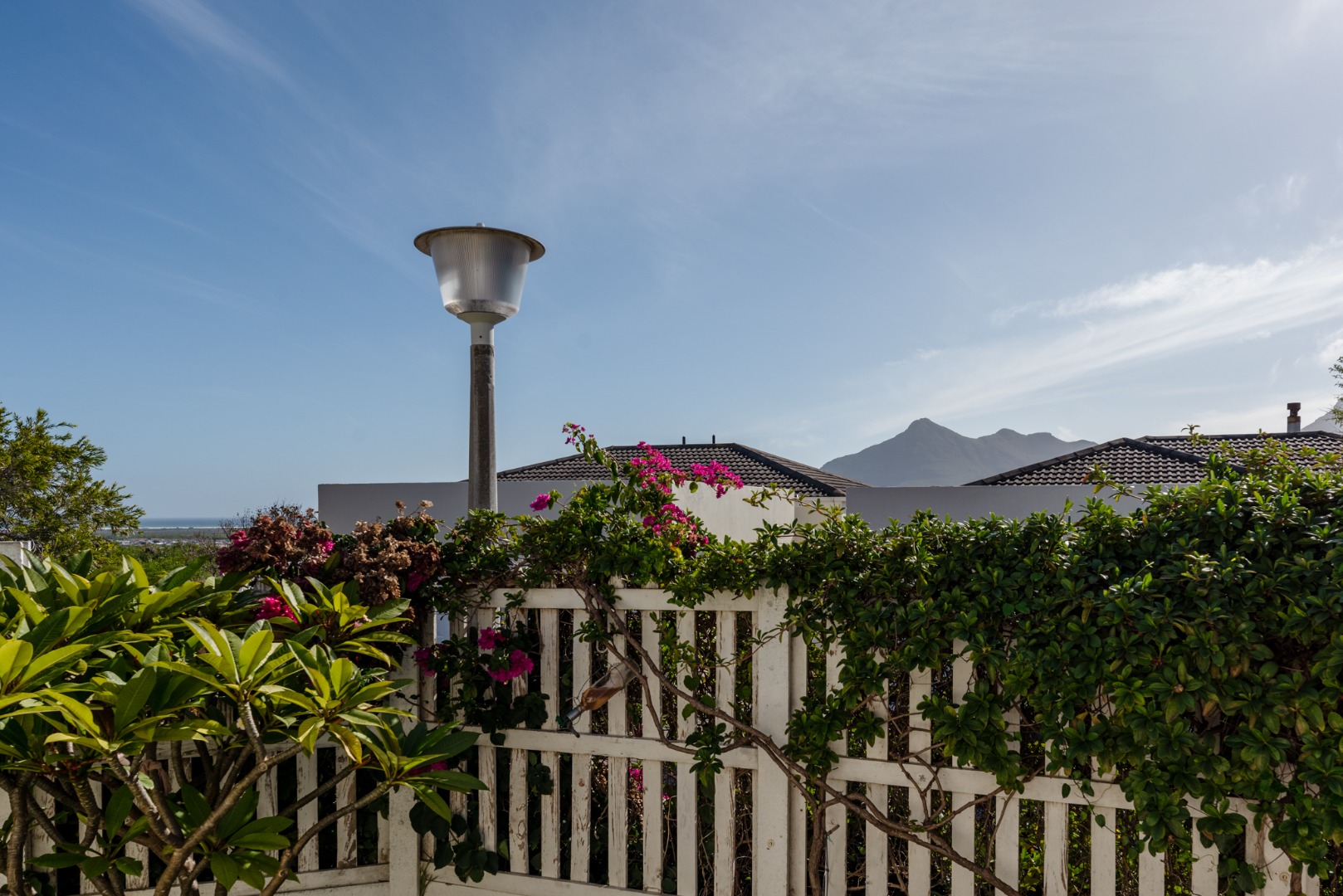 2 Bedroom House To Rent in Capri RE/MAX™ of Southern Africa