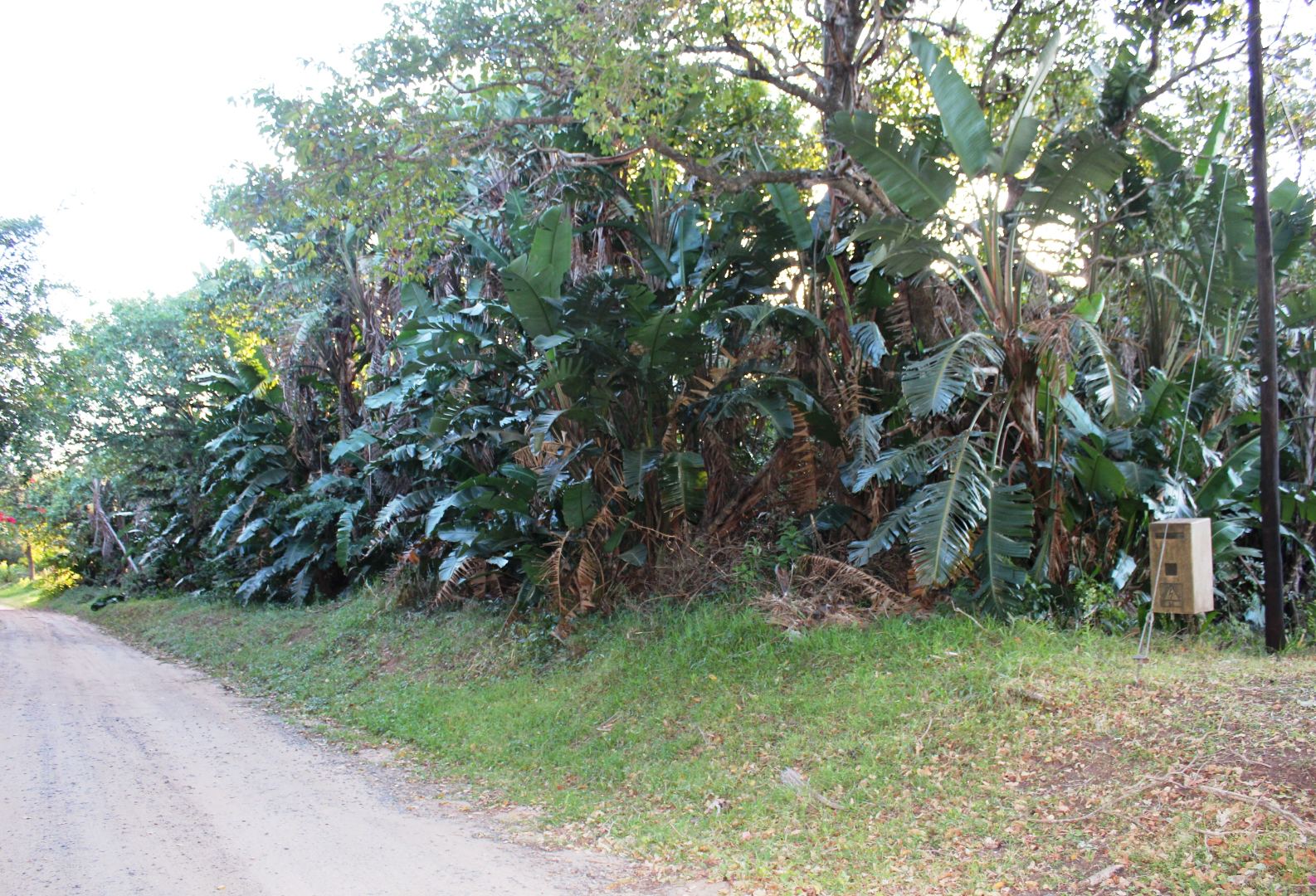 Property and houses for sale in Trafalgar, KwaZulu Natal RE/MAX