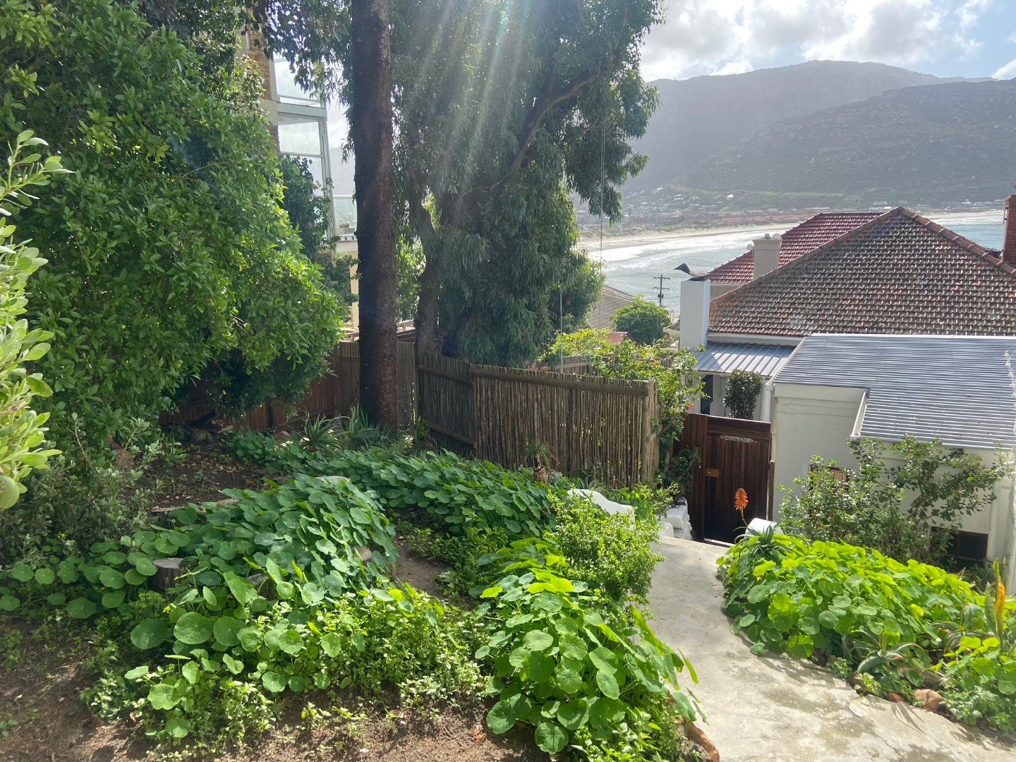 Apartments and flats to rent in Fish Hoek, Western Cape RE/MAX