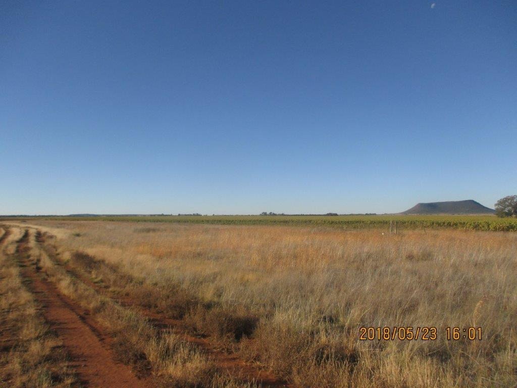 Property and houses for sale in Bloemfontein, Free State RE/MAX