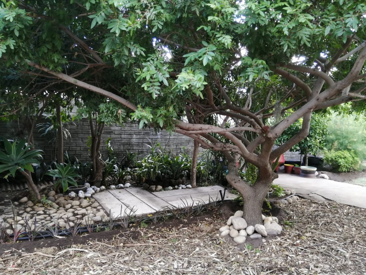 5 Bedroom House For Sale in Rawsonville RE/MAX™ of Southern Africa