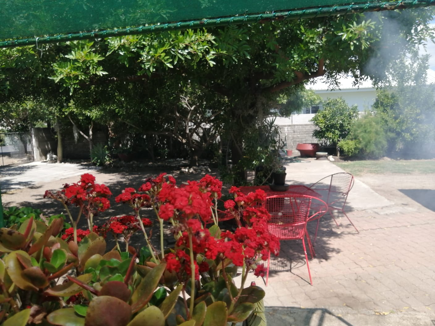 5 Bedroom House For Sale in Rawsonville RE/MAX™ of Southern Africa