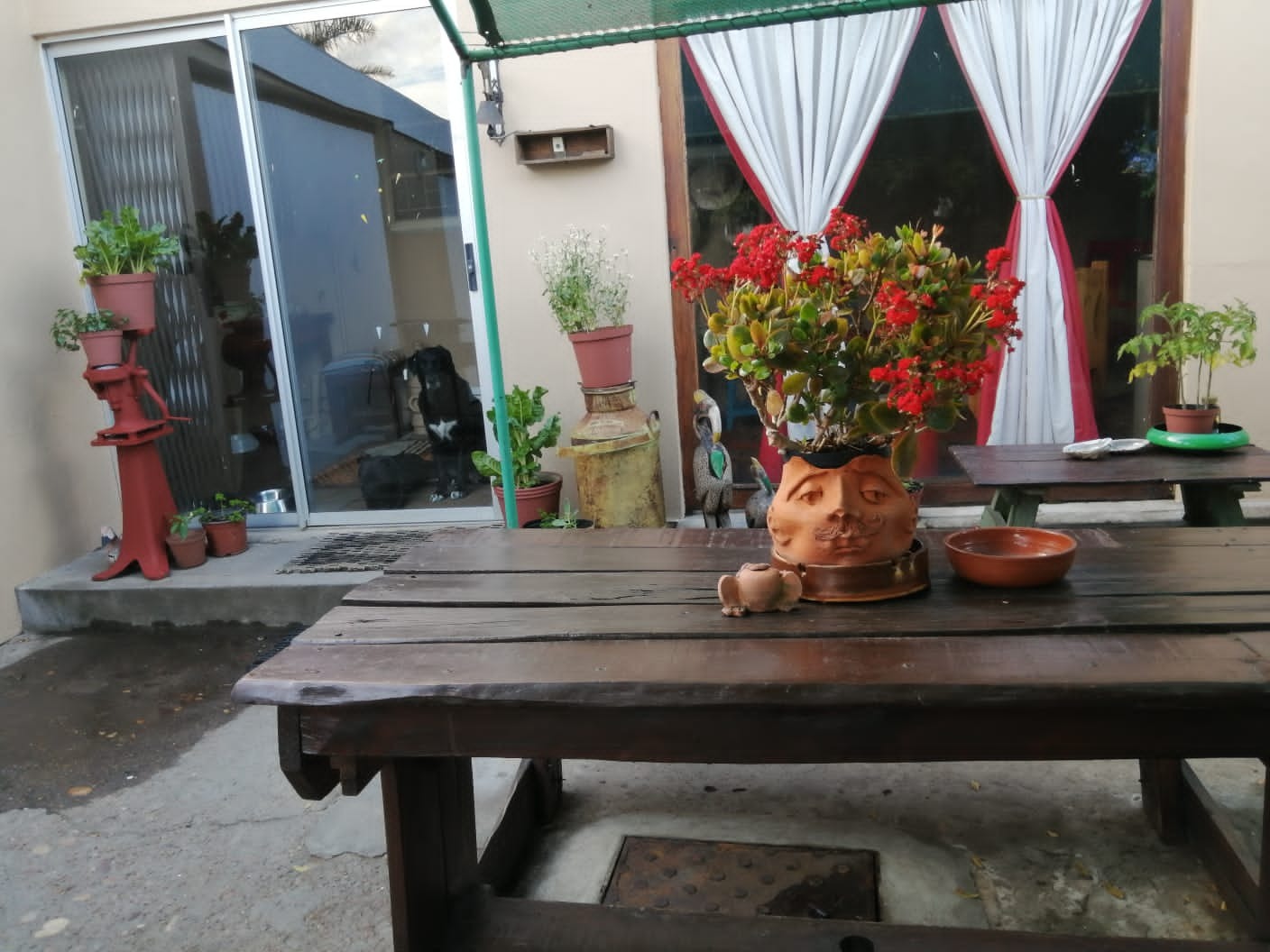 5 Bedroom House For Sale in Rawsonville RE/MAX™ of Southern Africa