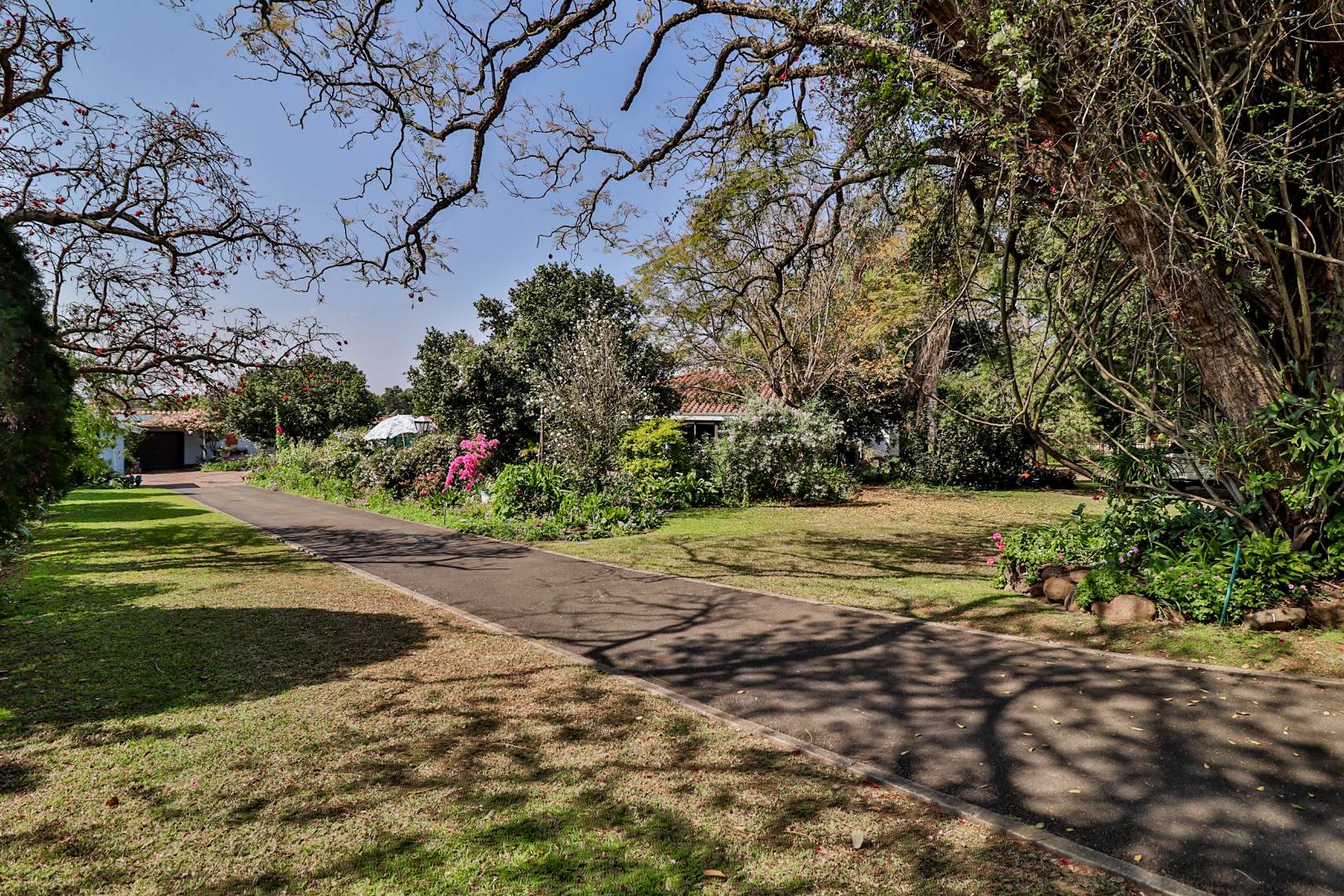 4 Bedroom House For Sale in Scottsville RE/MAX™ of Southern Africa