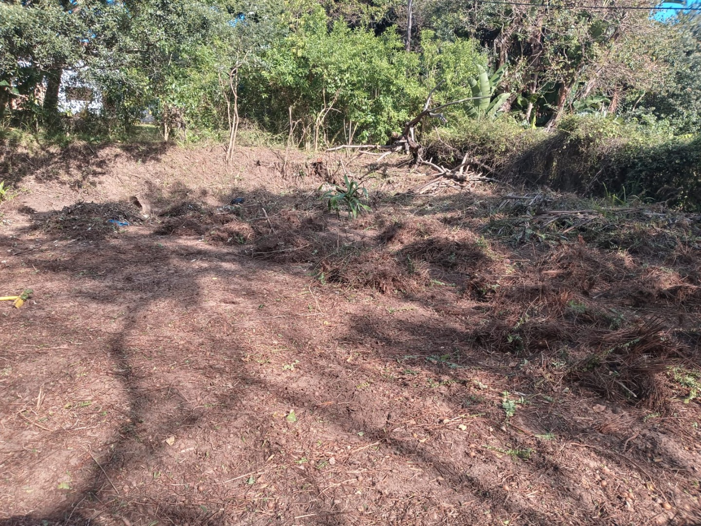 Property and houses for sale in Trafalgar, KwaZulu Natal RE/MAX