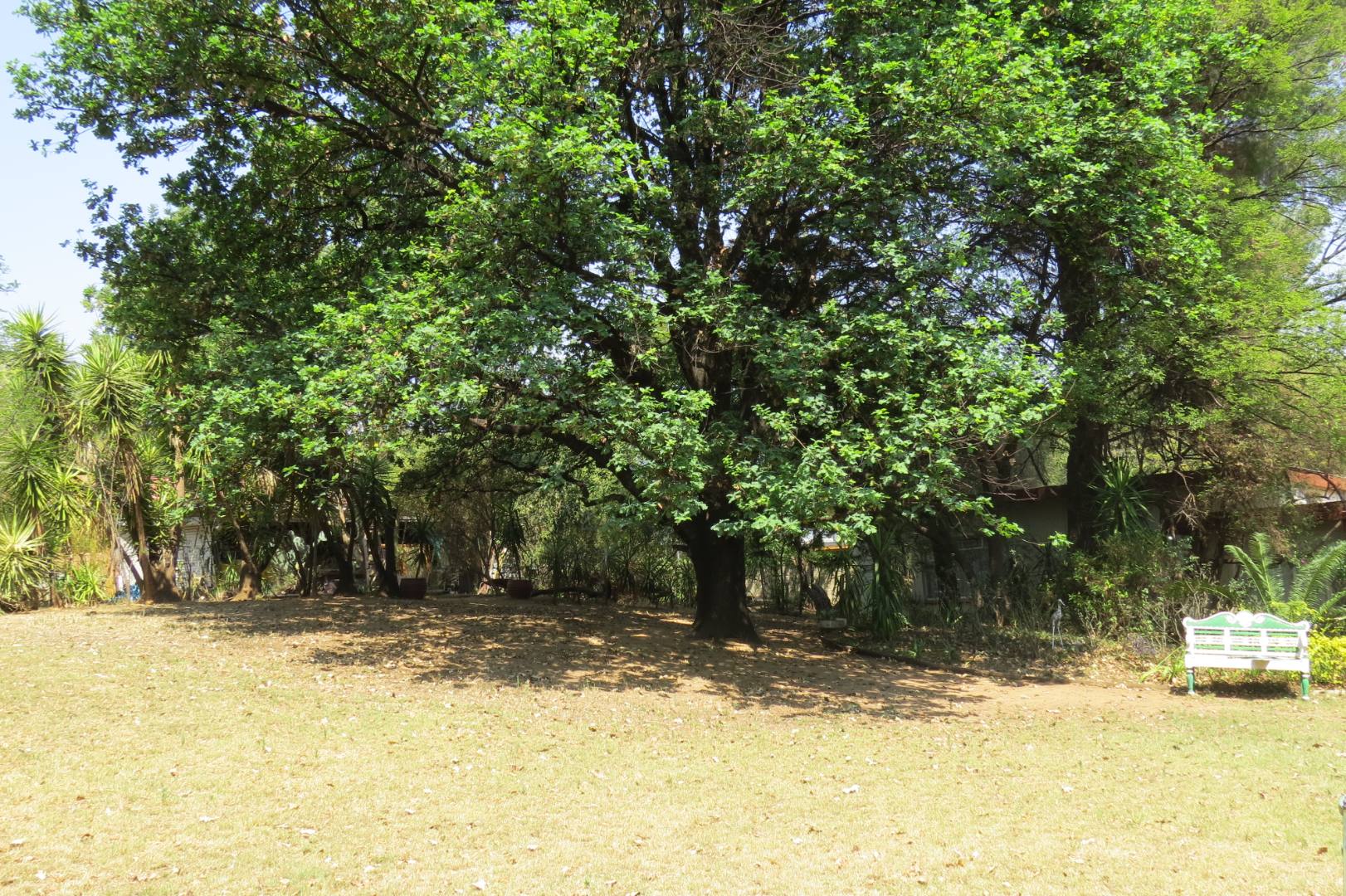 Property and houses for sale in Ferndale, Randburg RE/MAX