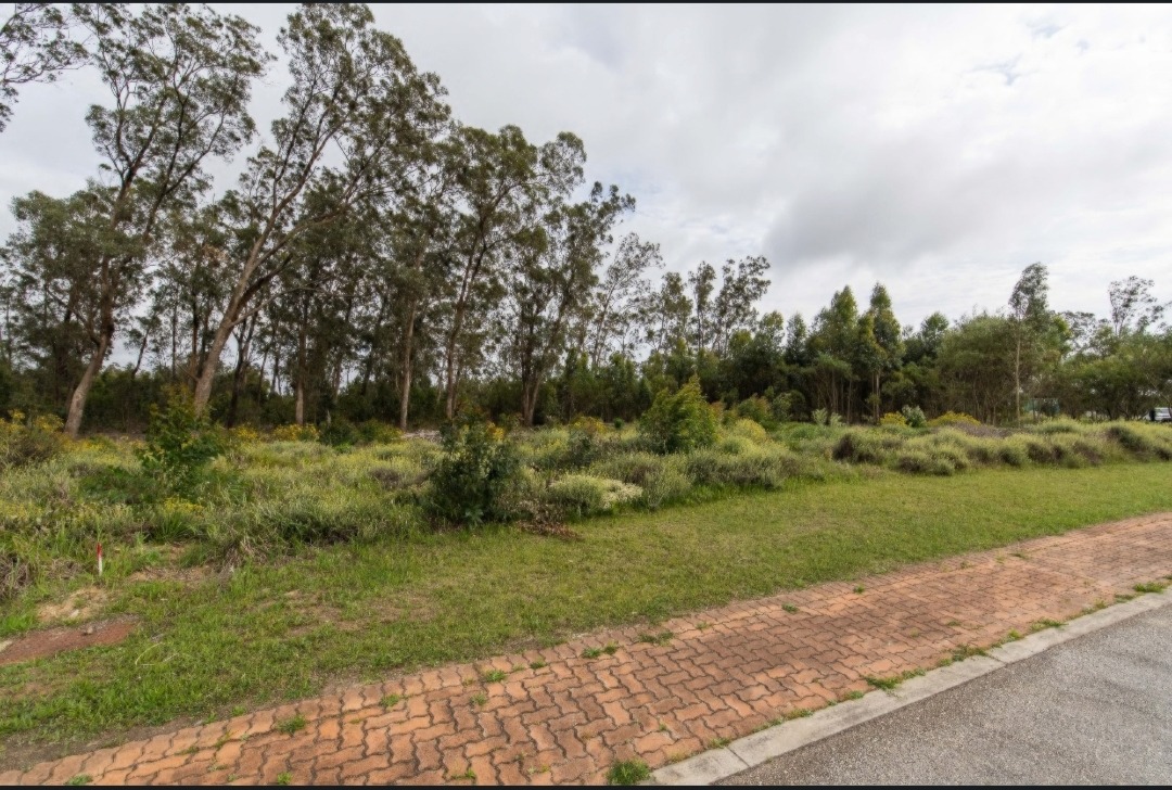 Vacant Land / Plot in Wedgewood Golf Estate For Sale RE/MAX™ of