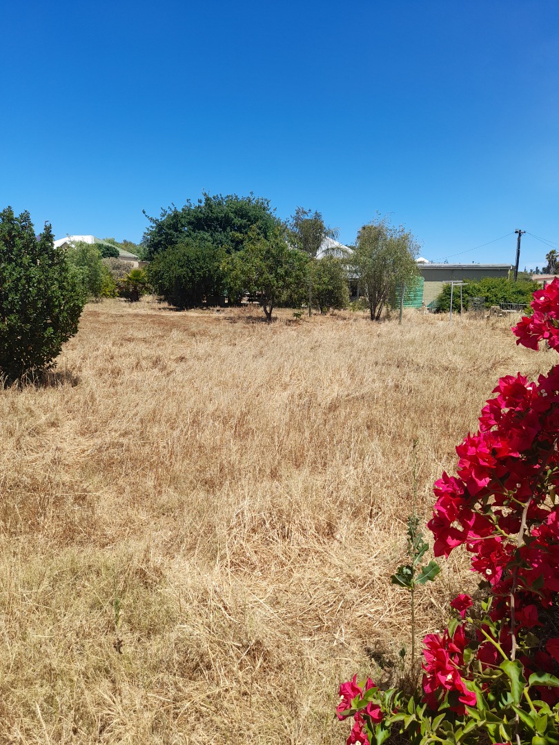 Property and houses for sale in Moorreesburg, Western Cape RE/MAX™