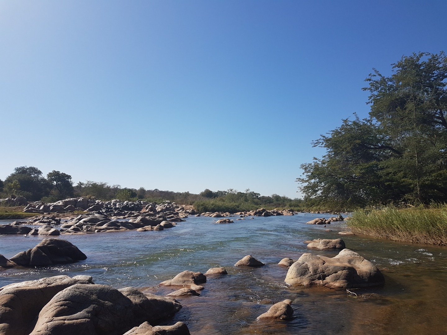 7 Bedroom House For Sale in Ndlovumzi RE/MAX™ of Southern Africa