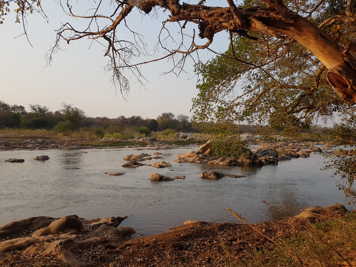 7 Bedroom House For Sale in Ndlovumzi RE/MAX™ of Southern Africa