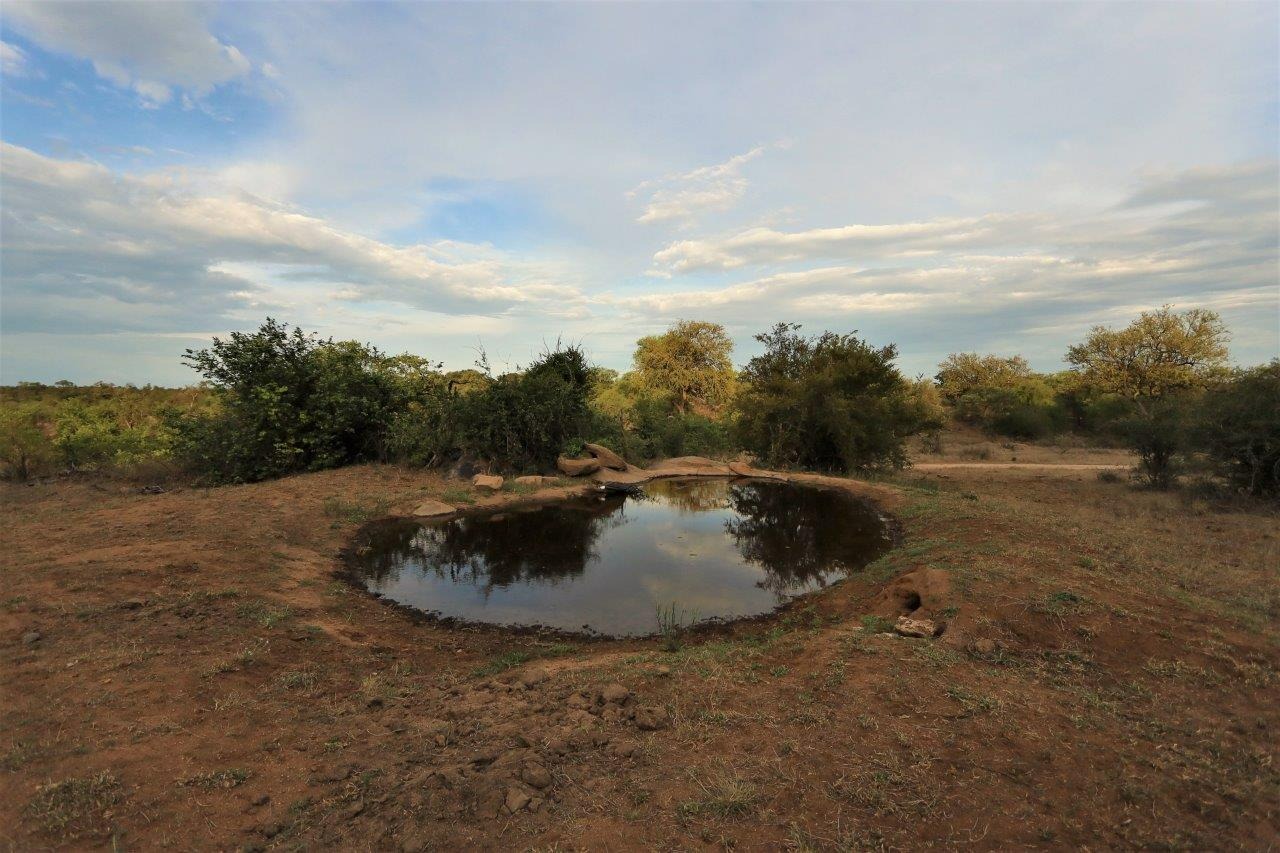 6 Bedroom House For Sale in Grietjie Private Nature Reserve RE/MAX