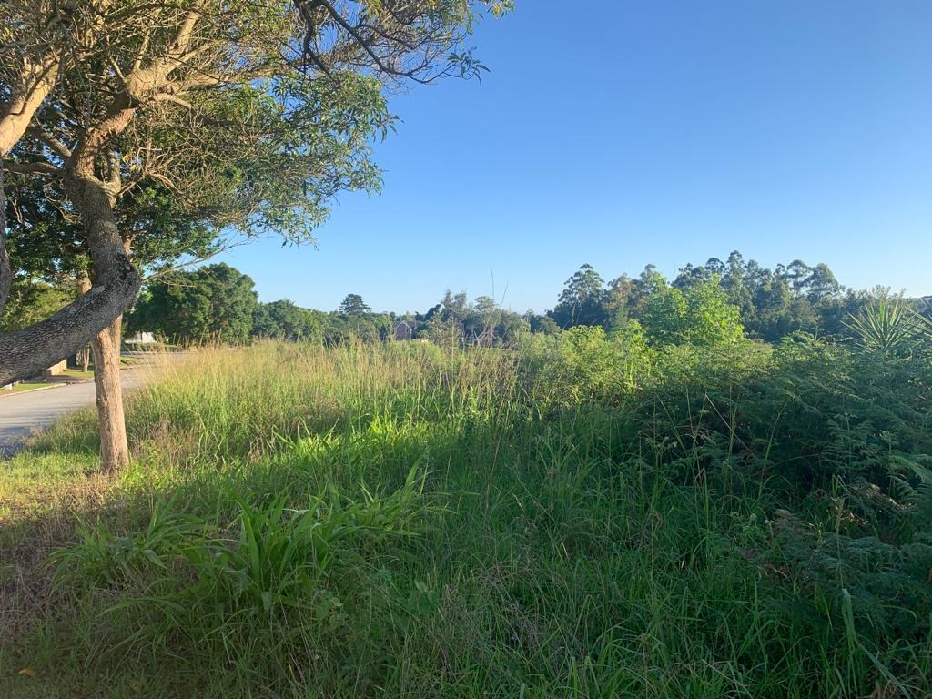 Vacant Land / Plot in Blanco For Sale RE/MAX™ of Southern Africa