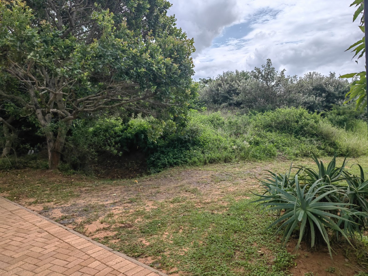 Vacant Land / Plot in Hawaan Forest Estate For Sale RE/MAX™ of