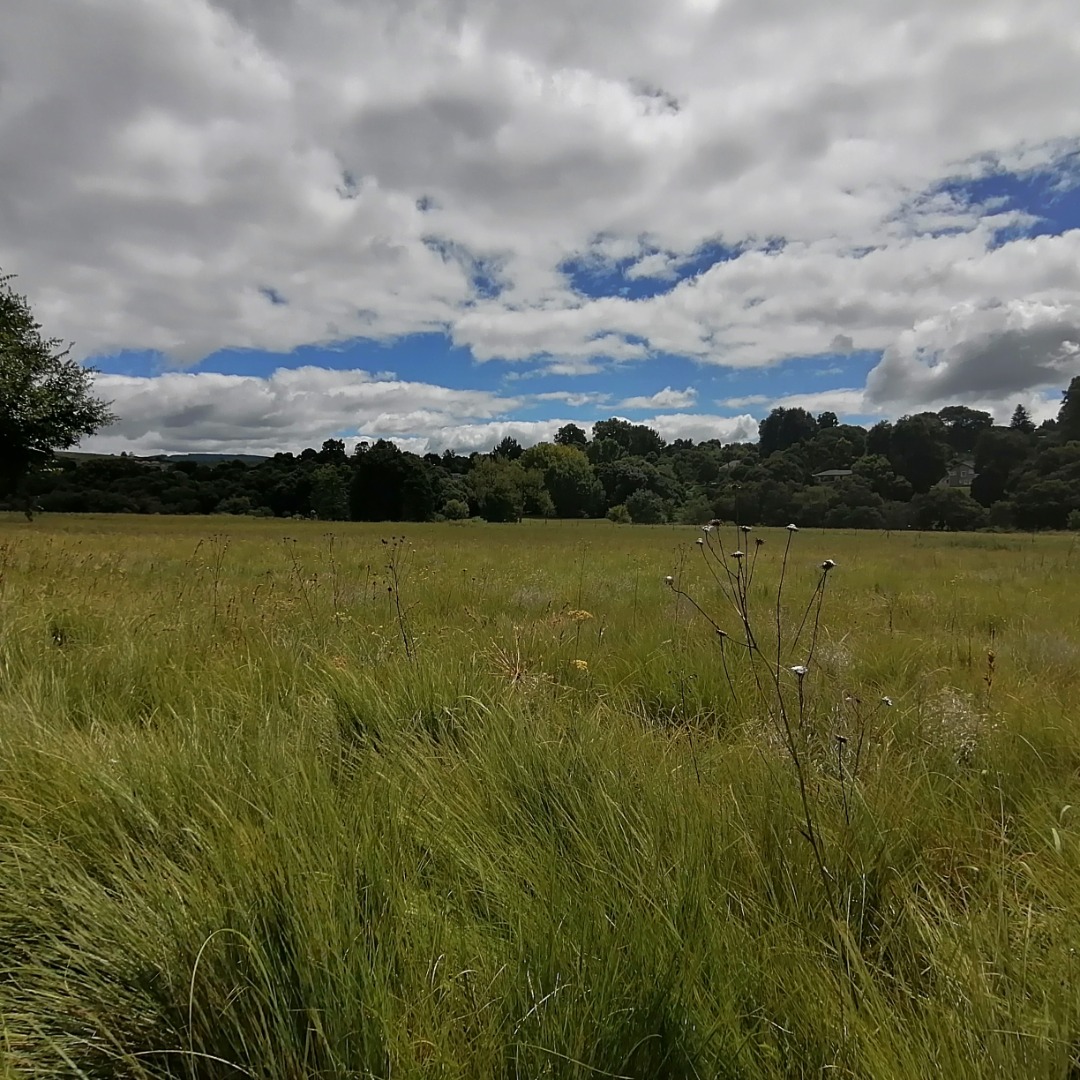 Vacant Land / Plot in River Goose Estate For Sale RE/MAX™ of Southern