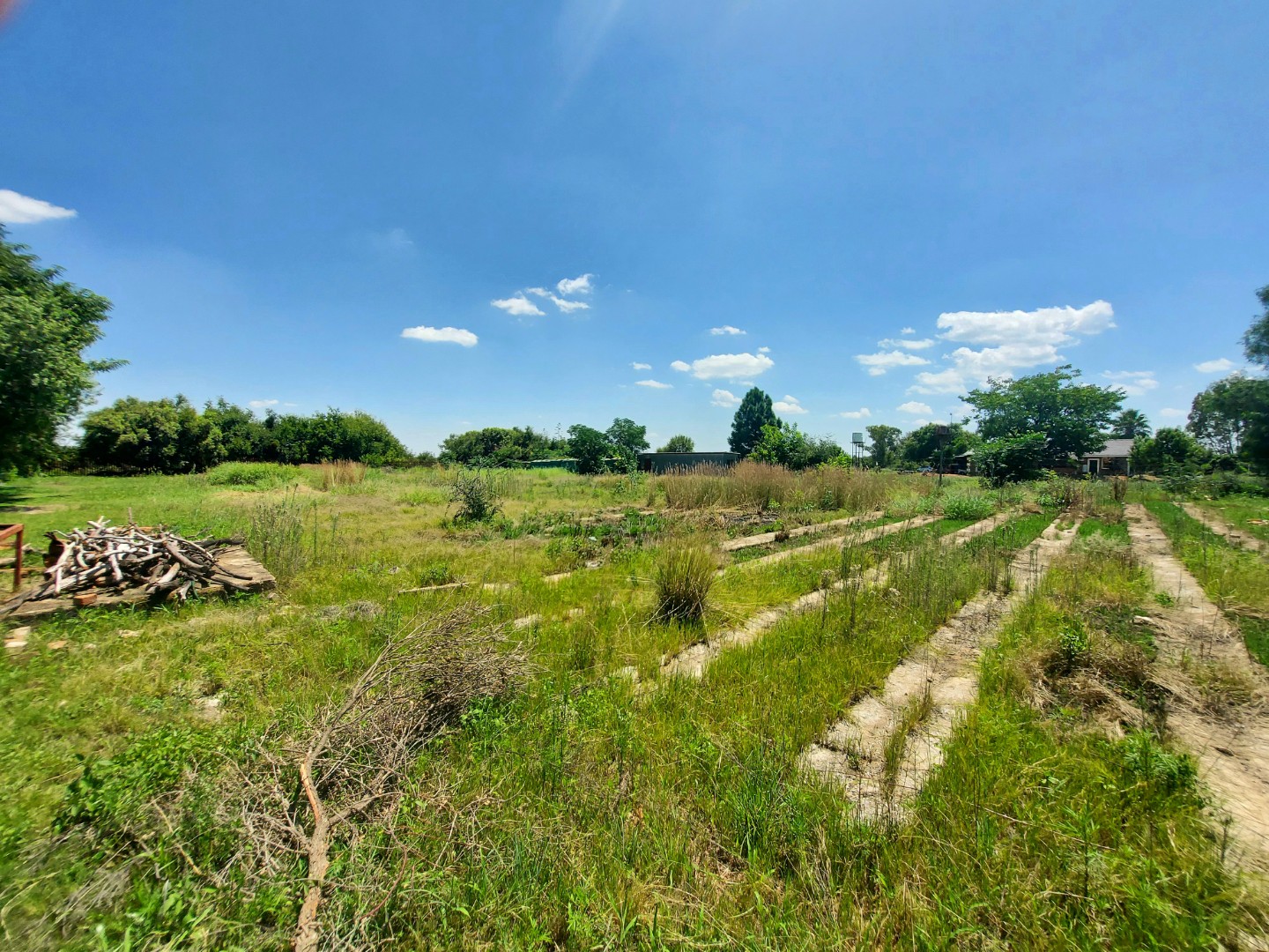 3 Bedroom House For Sale in Rooigrond Informal RE/MAX™ of Southern Africa