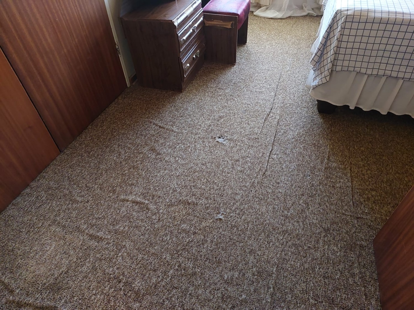 3 Bedroom House For Sale in Saaiplaas RE/MAX™ of Southern Africa