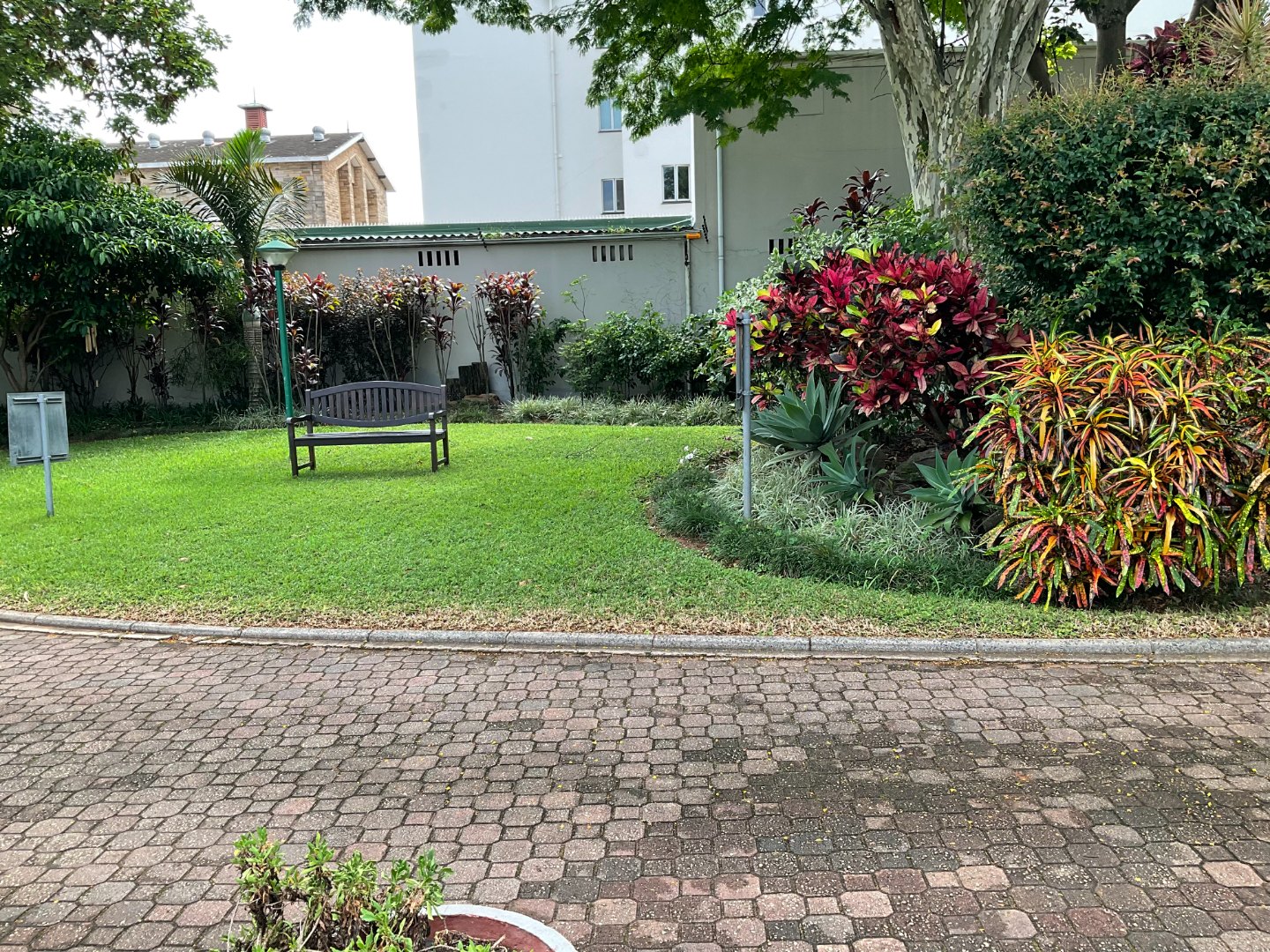 3 Bedroom Apartment / Flat To Rent in Musgrave RE/MAX™ of Southern Africa