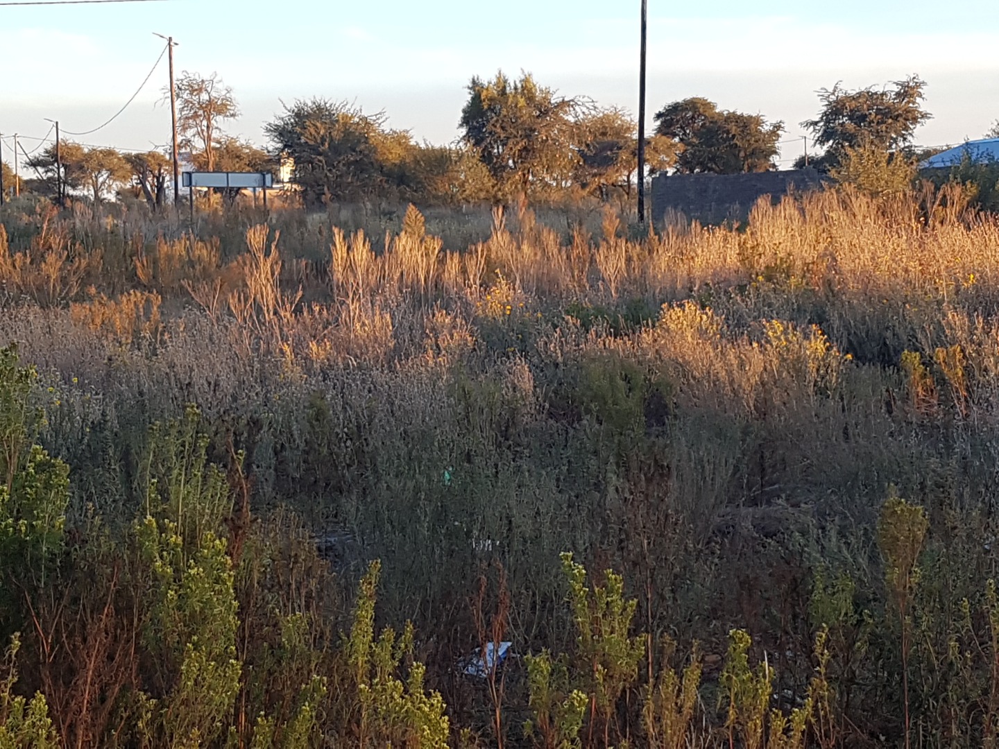 Vacant Land / Plot in Kuruman For Sale RE/MAX™ of Southern Africa