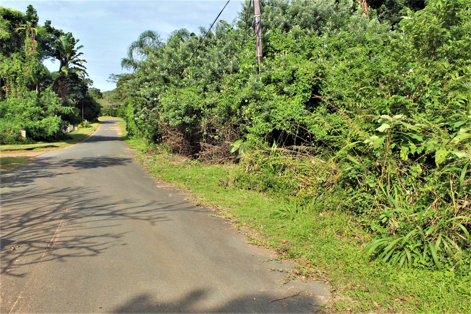 Vacant Land / Plot in Trafalgar For Sale RE/MAX™ of Southern Africa