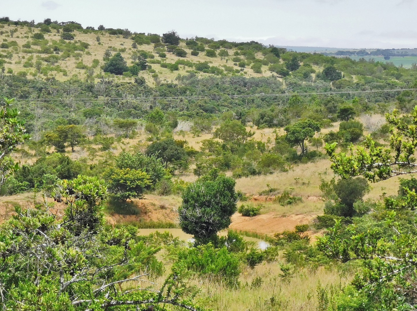 Property and houses for sale in Bathurst, Eastern Cape RE/MAX