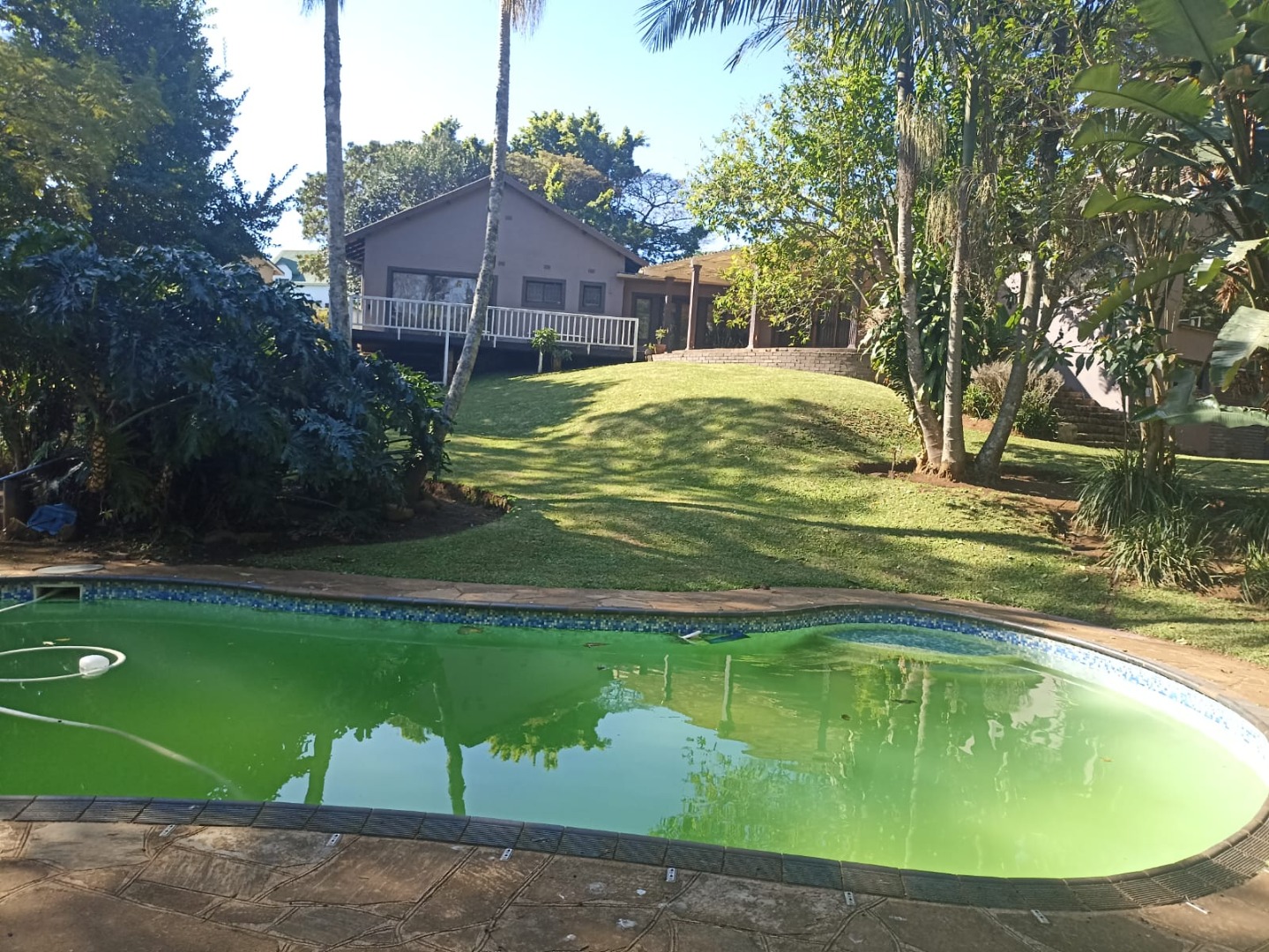 Apartments and flats to rent in Hillcrest, KwaZulu Natal RE/MAX