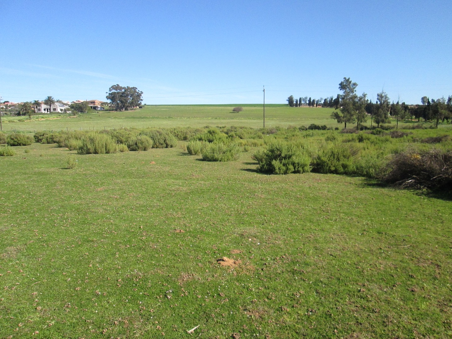 Property and houses for sale in Moorreesburg, Western Cape RE/MAX™