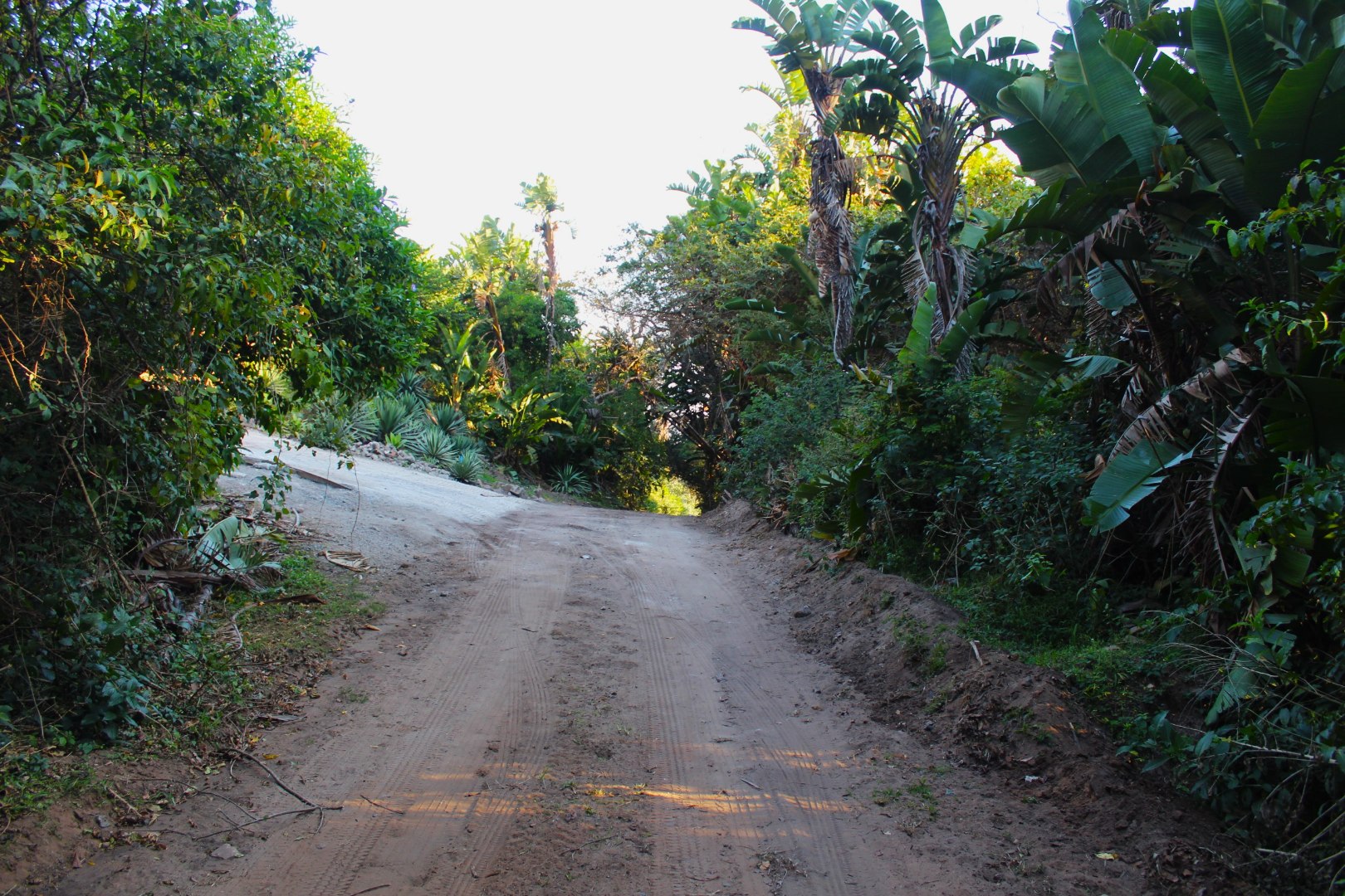 Vacant Land / Plot in Trafalgar For Sale RE/MAX™ of Southern Africa