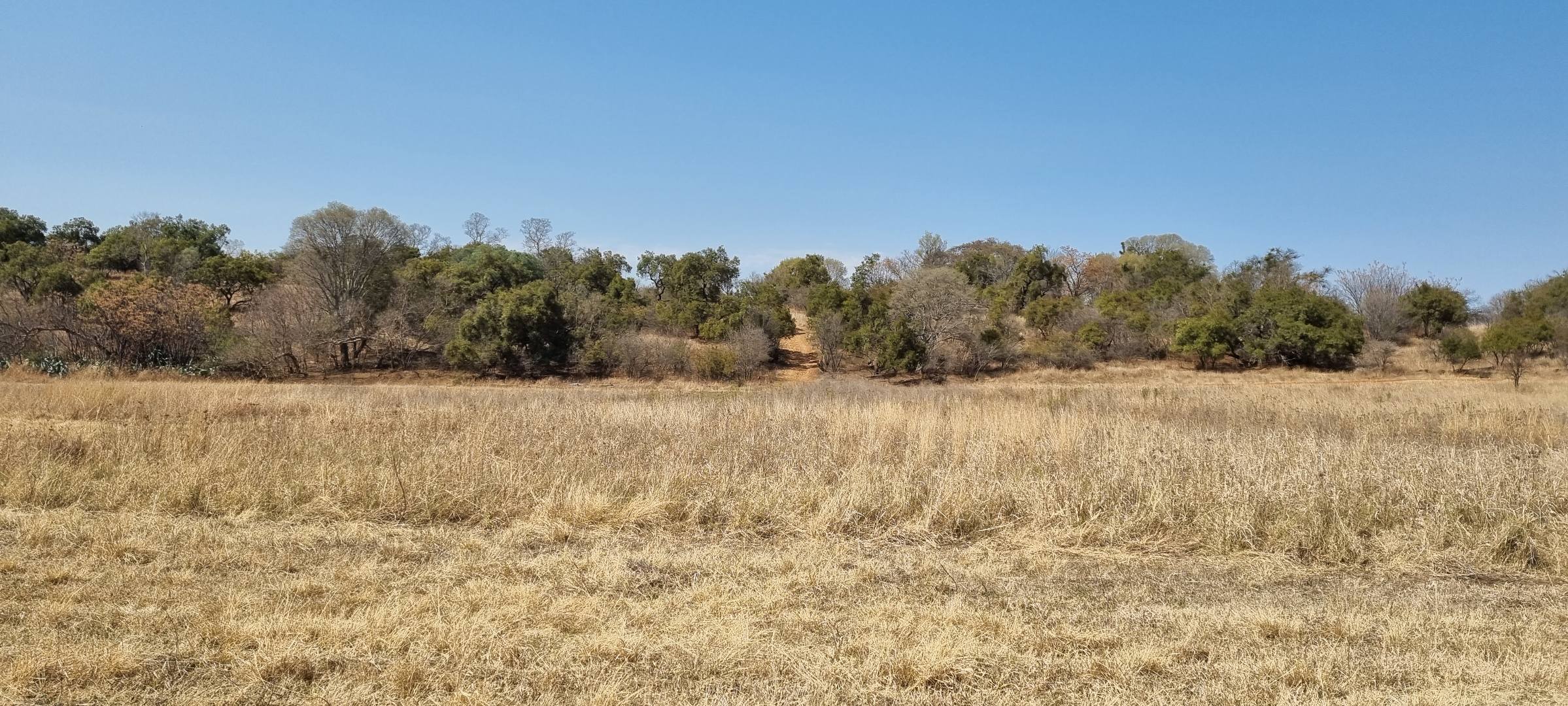 Farm in Hekpoort For Sale RE/MAX™ of Southern Africa