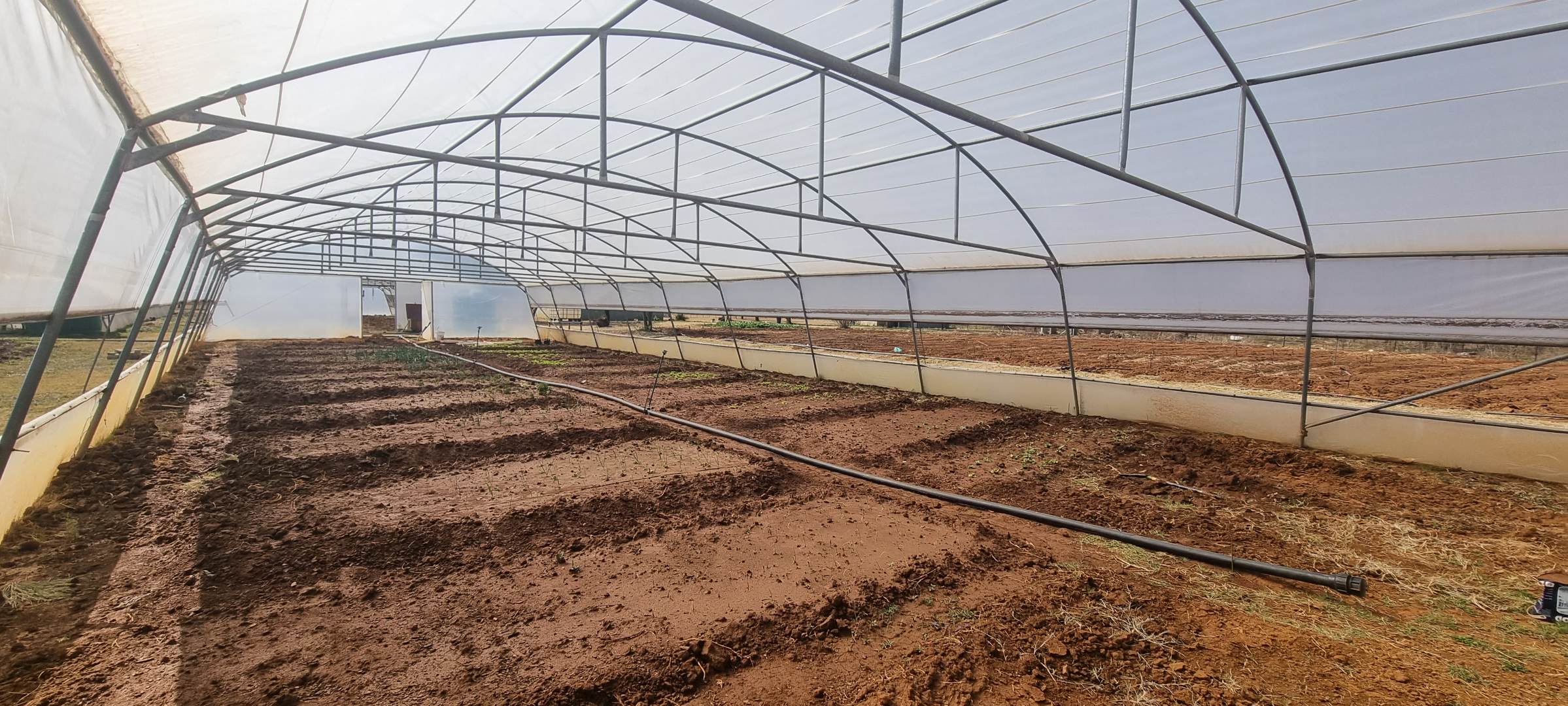 Farm in Hekpoort For Sale RE/MAX™ of Southern Africa