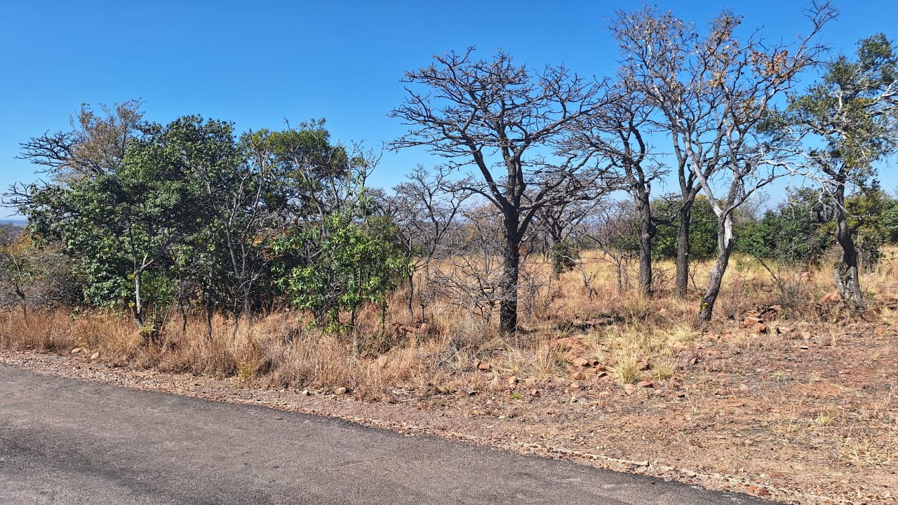 Vacant Land / Plot in Bela Bela For Sale RE/MAX™ of Southern Africa