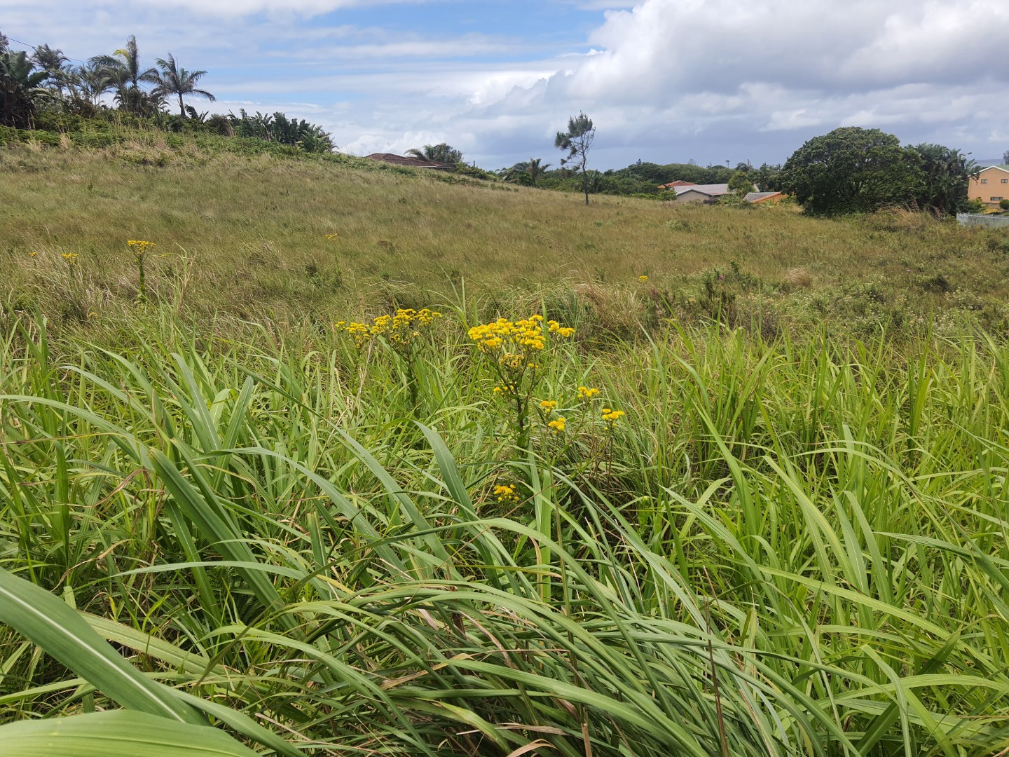 Vacant Land / Plot in Port Edward For Sale RE/MAX™ of Southern Africa