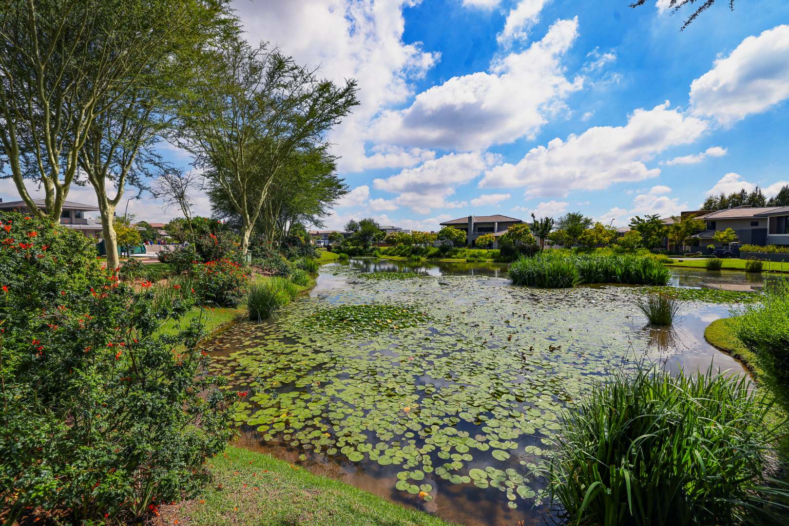 Vacant Land / Plot in Lombardy Estate For Sale RE/MAX™ of Southern Africa