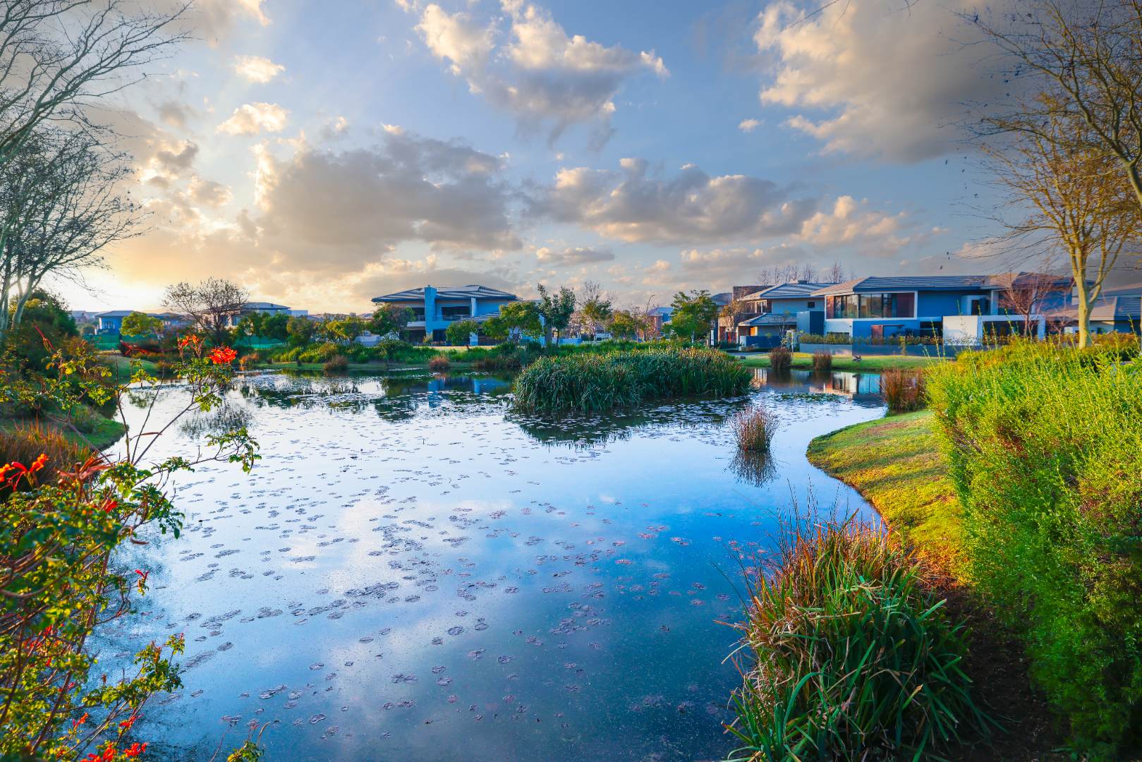 Vacant Land / Plot in Lombardy Estate For Sale RE/MAX™ of Southern Africa