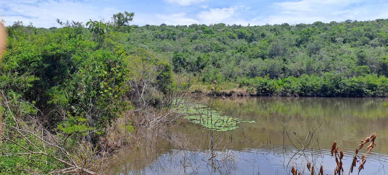 RE/MAX Border East London