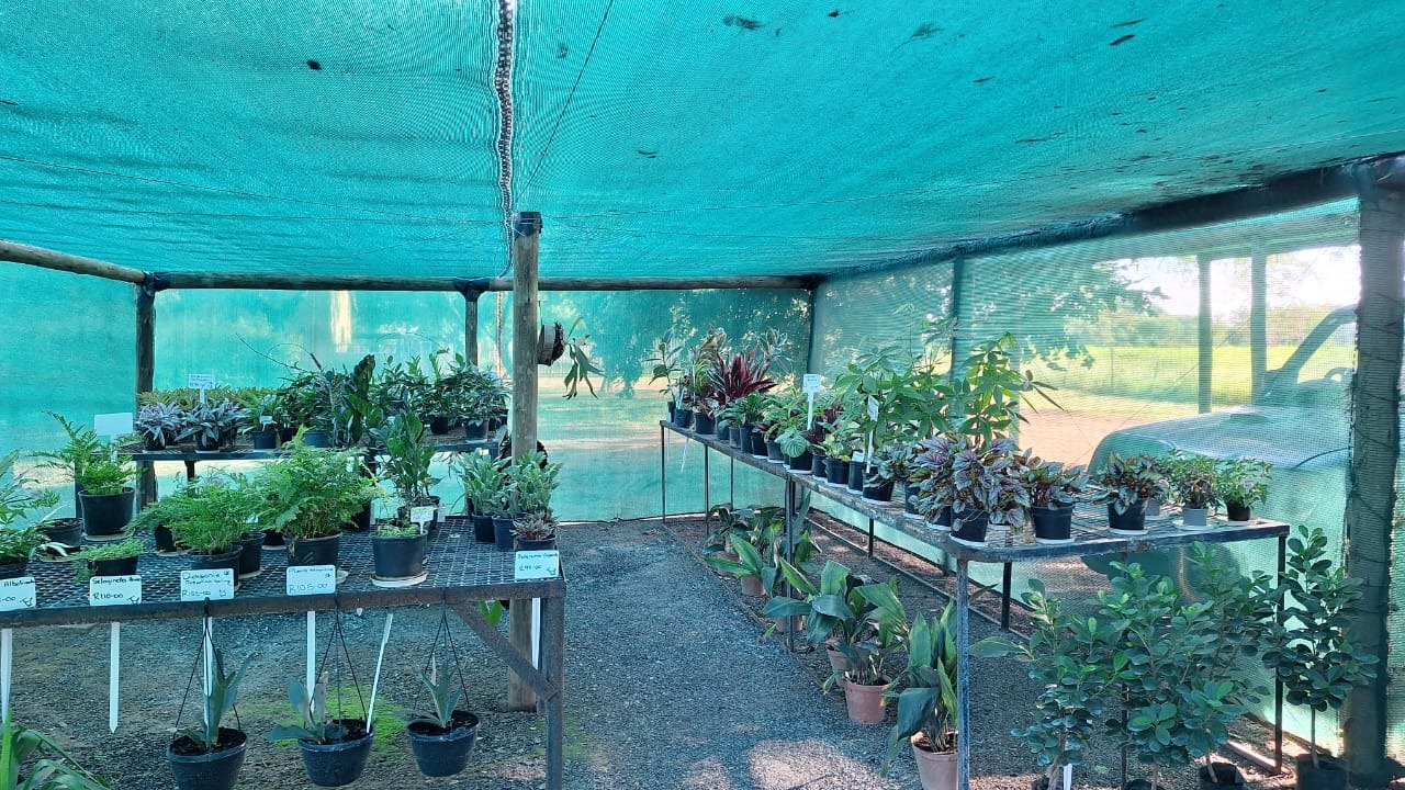 Commercial Property in Bela Bela For Sale RE/MAX™ of Southern Africa