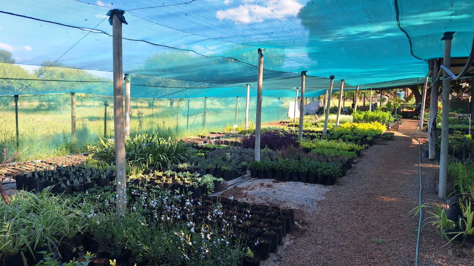 Commercial Property in Bela Bela For Sale RE/MAX™ of Southern Africa